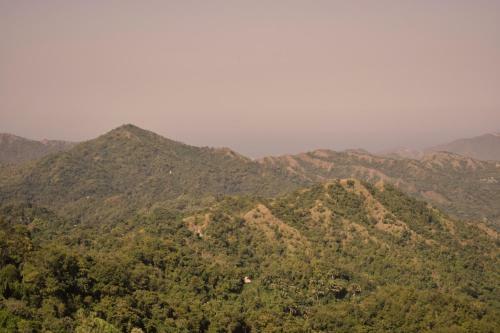 Hospedaje Los Pinos, Caba�a En Minca