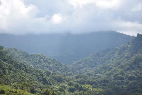 Hospedaje Los Pinos, Caba�a En Minca
