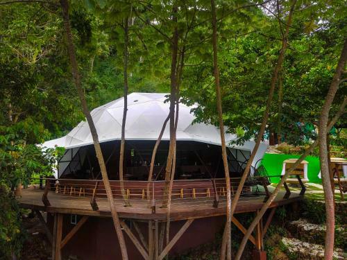Hotel Trekker Glamping