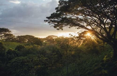 Lodge Finca La Argelia