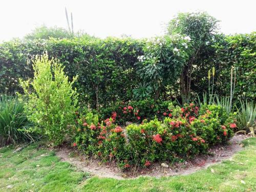Bed & Breakfast C&h Campestre El Oasis