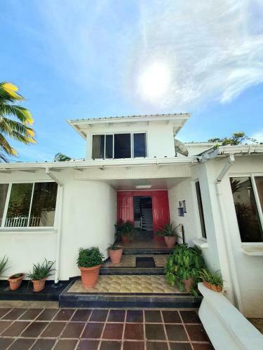Bed & Breakfast Casa Licornne