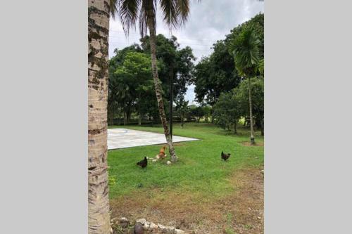 Finca Las Delicias Villavicencio