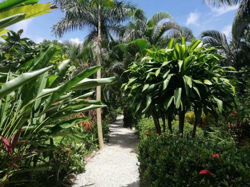 Bed & Breakfast Mundo Goub'art