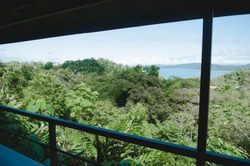 Hotel Drake Bay Greenleaf