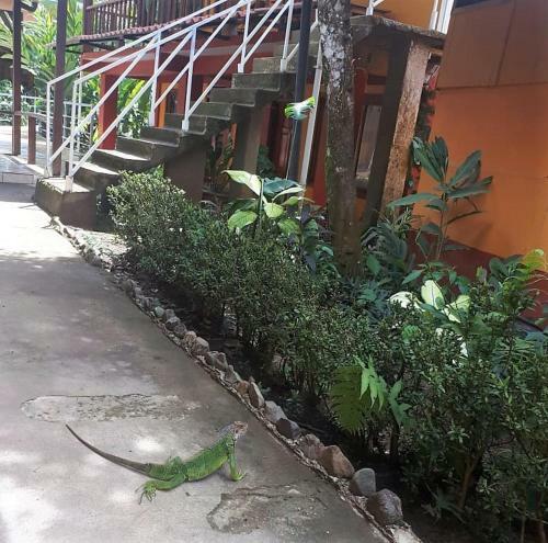 Hotel Corcovado & Drake Inn