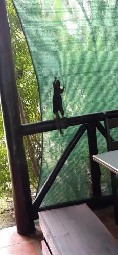 Posada Casona R�stica & Bungalow