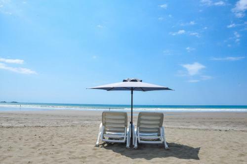 Apartamento La Paloma Blanca D4