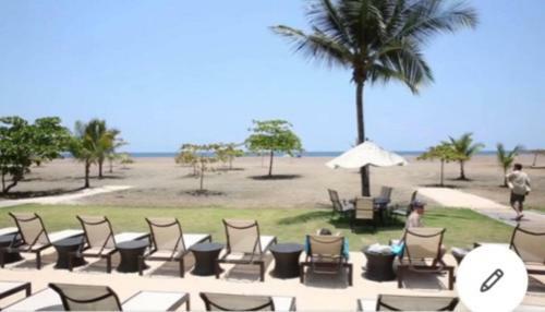 Apartamento The Palms Oceanfront Condo 604