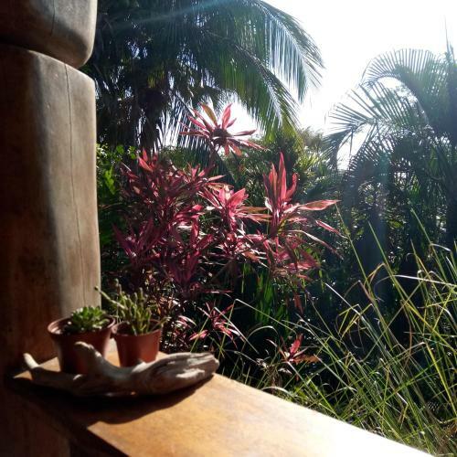 Bed & Breakfast Casa Pi�a