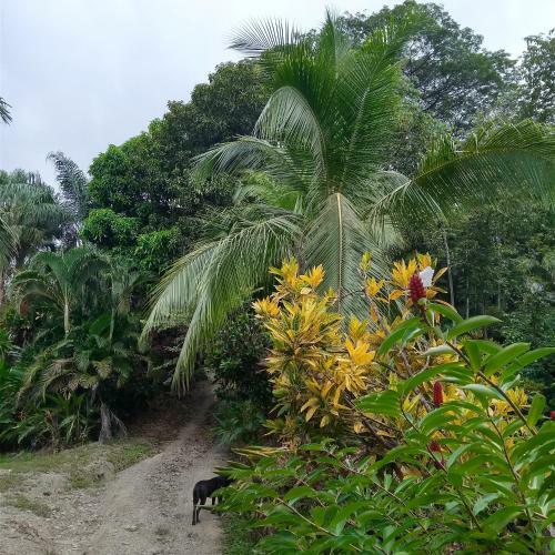 Bed & Breakfast Casa Pi�a