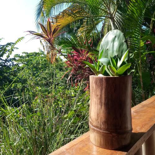 Bed & Breakfast Casa Pi�a
