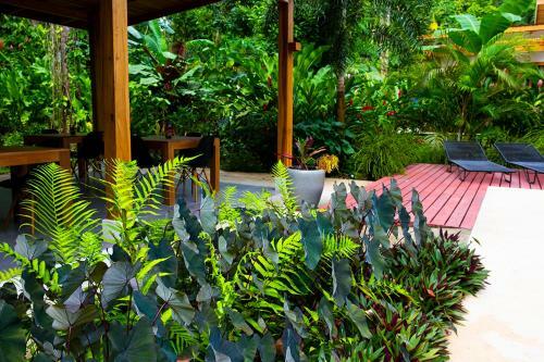 Bed & Breakfast La Paz Del Caribe
