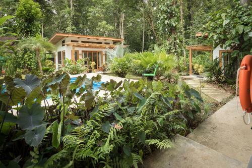 Bed & Breakfast La Paz Del Caribe