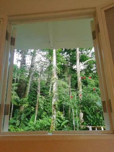 Hotel Colina Secreta - Glamping And Villas