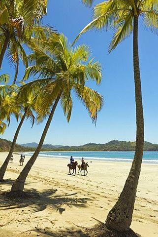 Bed & Breakfast Casitas En La Playa Samara