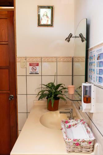 Hostal Hostel Bouganvilia Bed And Breakfast