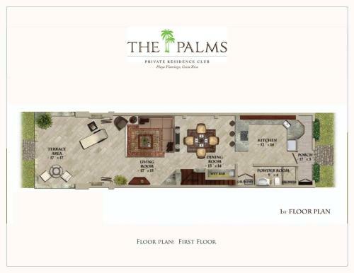 Palms 24