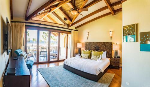 Palms 24