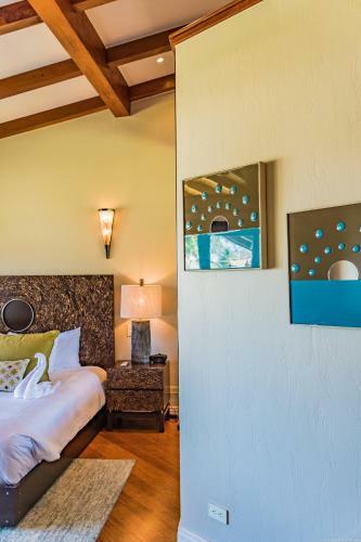 Palms 24