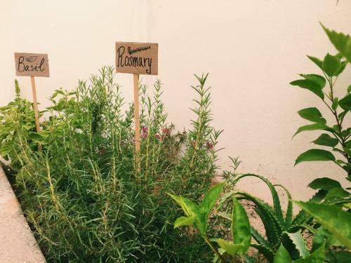 Apartamento Terra Kriola