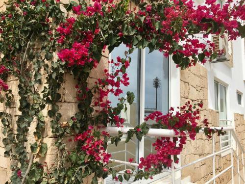 Apartamento Terra Kriola