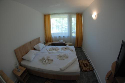 Hostal Hotel Venus