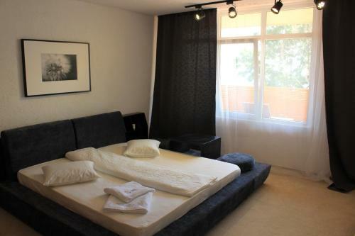 Steaua De Mare Luxury Apartments