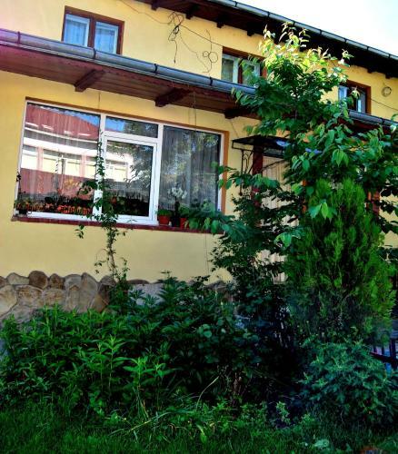 Hostal Pensiunea Cassandra