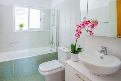 Pegeia Villa Sleeps 6 With Pool And Wifi