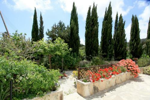 Villa Pissouri Bay Bungalow