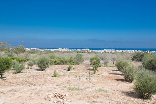Luxury 4 Bedroom Villa With Private Pool, Protaras Villa 1237