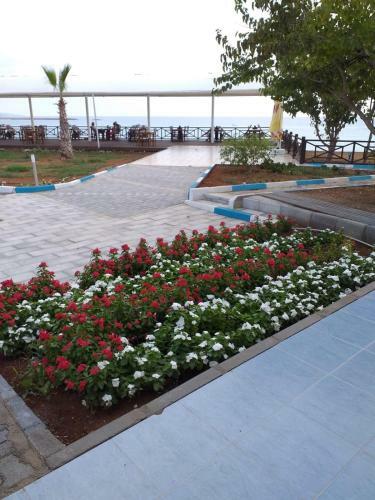 Livana Hotel Karpaso