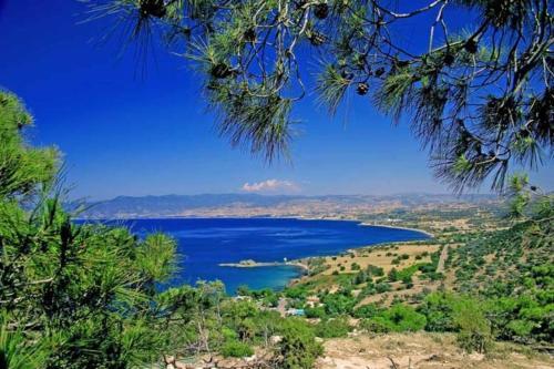 5 Star Private Villa, Protaras, Protaras Villa 1234