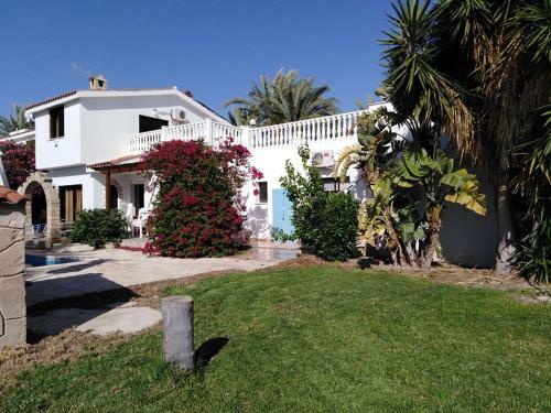 Polyxeni's Coral Bay Villas