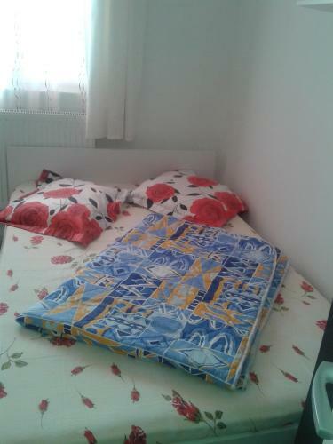 Hostal Vila Emy Constanta