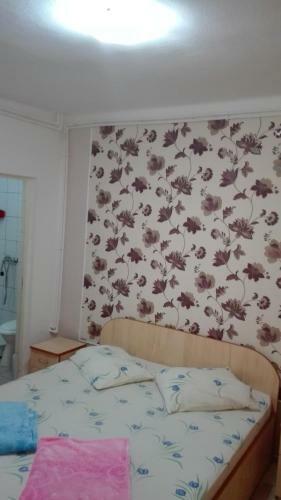 Hostal Vila Emy Constanta