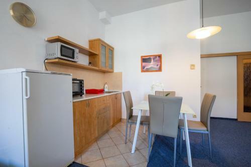 Apartamento Studio Wellnerova 3