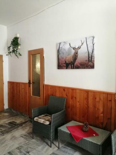 Posada Penzion H�jenka