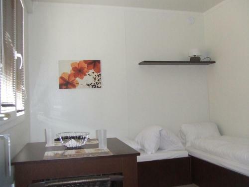 Auto-aqua-cyclocamp Ostro?sk� Nov� Ves