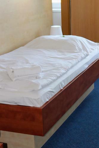 Hotel Tj Chodov