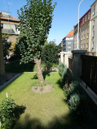 Jezerka Apartments
