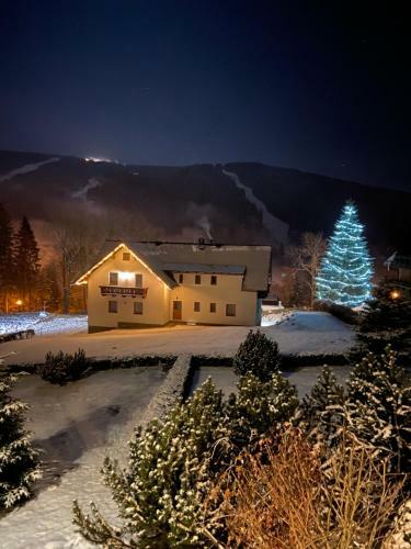 Hostal Pension George