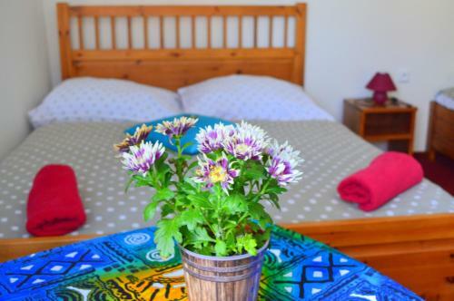 Hostal Penzion Harmonie - Horn� Mar?ov