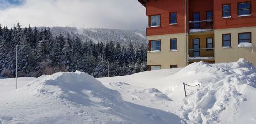 Ski & Bike Apartman Kl�novec