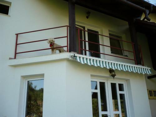 Hostal Pension Piatra Craiului