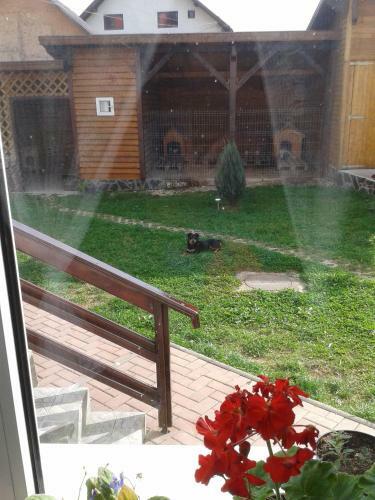 Hostal Pension Piatra Craiului
