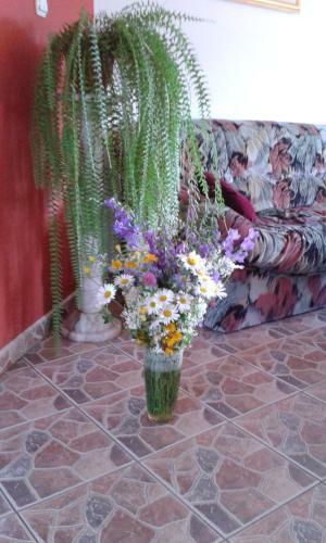 Hostal Pension Piatra Craiului