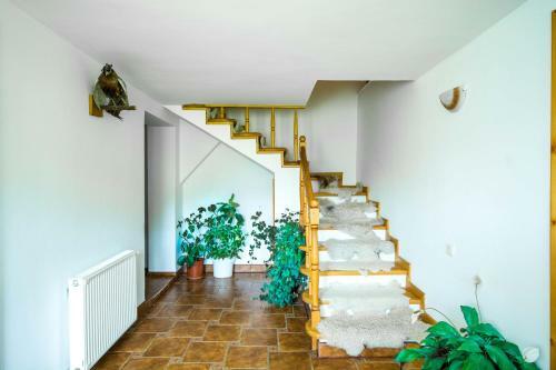 Hostal Pensiunea Iozefina