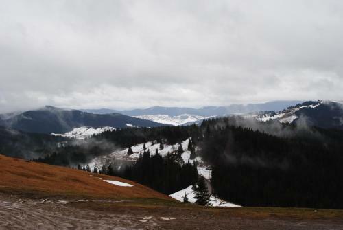 Hostal Pension Lucia Bucovina